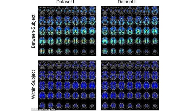  L’équipe a mené un total de 17000 expérimentations différentes, pouvant déterminer avec une exactitude de près de 100 % si deux images représentent  le même schéma de connexion. Les différences indiquées vont de 0 (bleu) à 2 (rouge).