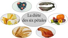 La diète des six pétales