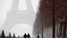 De la poussière cosmique sur les toits parisiens