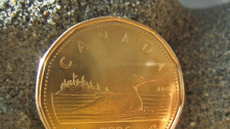 Le dollar canadien est sur une montée depuis la fin de 2016, alors que le prix du pétrole demeure essentiellement inchangé. (Jay-P/flickr.com)