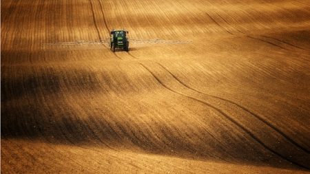Voyage au pays des glutens