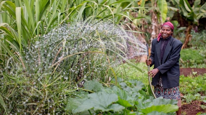 Une jeune agricultrice kényane (Esther Havens/USAID)