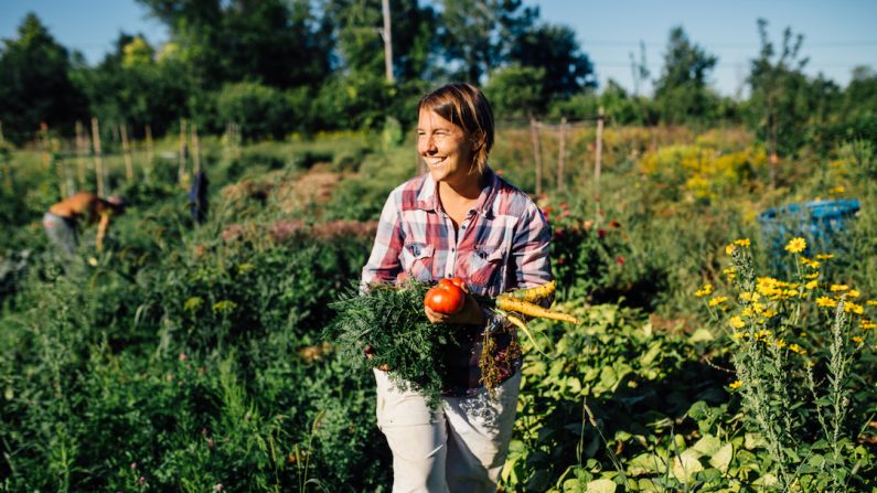 Mme Lyne Bellemare, propriétaire de la semencière artisanale Terre Promise située à L’Île-Bizard, à l’ouest de Montréal. (Katya Konioukhova)