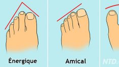 Voici 13 types d’orteils et les indices fascinants qu’ils révèlent sur votre personnalité