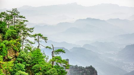 Une nouvelle étude montre que les films sur la nature peuvent vous aider contre le stress