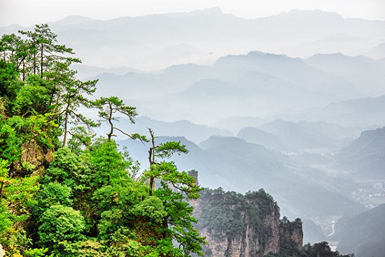 Une belle vue du parc de Zhangjiajie en Chine. 