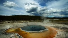 464 tremblements de terre secouent le supervolcan de Yellowstone en une semaine