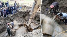 Une statue colossale vieille de 3000 ans découverte dans un bidonville du Caire