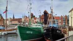 Éloge de la liberté et de la solidarité à Gdansk