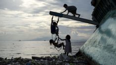 Apparition d’une mystérieuse créature sur le rivage philippin