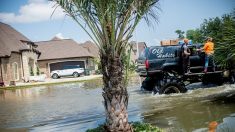 Au Texas, les « mega trucks » viennent au secours des sinistrés