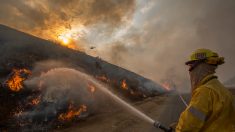 Etats-Unis : l’état d’urgence déclaré suite à de violents incendies dans l’ouest