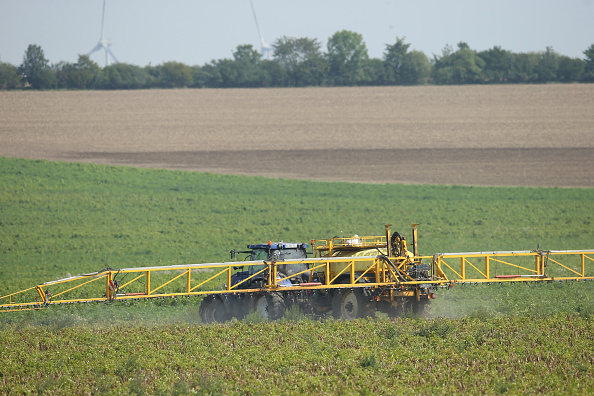 La licence européenne du glyphosate, classé « cancérogène probable » et qui entre en particulier dans la composition du Roundup, le produit phare de Monsanto, expire fin 2017 et le débat sur son renouvellement fait rage au sein de l'UE. (Sean Gallup/Getty Images)