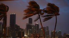 La Floride se vide devant Irma