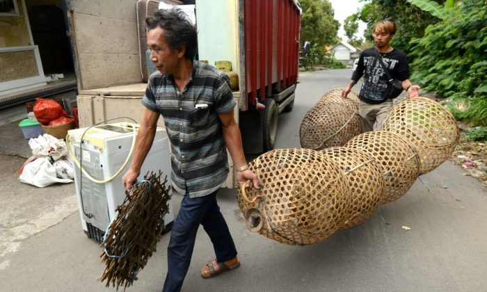 Les villageois évacuent depuis que des niveaux d'alerte élevés ont été émis à propos du volcan sur le mont Agung sur l'île de Bali. (Sonny Tumbelaka / AFP / Getty Images)