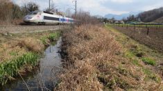 Dans la lutte contre les inondations, le « génie végétal » marque des points