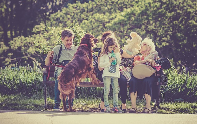 côtoyer des animaux de compagnie, se faire des bisous et des câlins et se promener dans la nature nous permet d’entrer en contact avec des bactéries, ce qui va renforcer notre système immunitaire.  (Pixabay)