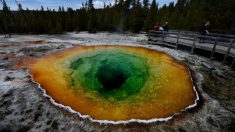 Les multiples secousses successives qui ont suivi le premier tremblement de terre ayant secoué le parc national de Yellowstone aux États-Unis le 12 juin dernier, pourraient constituer la plus longue série de répliques jamais enregistrée