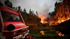 Des incendies meurtriers au Portugal et en Espagne