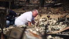 Incendies en Californie : les habitants terrassés par cette catastrophe