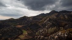 Incendies au Portugal, la désolation