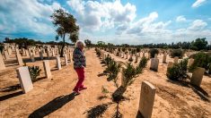 L’Egypte endeuillée commémore la victoire alliée d’El Alamein