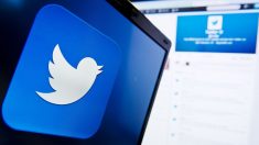 Twitter : le petit badge bleu doit se mériter