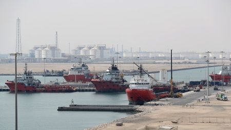 L’émir du Qatar se dit « mille fois mieux sans » les ex-alliés du Golfe