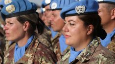 Le Canada propose une « force de réaction rapide » parmi les casques bleus