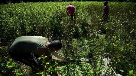 Accord « historique » avec la Colombie contre la drogue