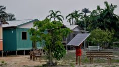 Énergies vertes : une aide insuffisante aux pays émergents