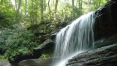 La COP 23, l’eau une préoccupation majeure, encourager les systèmes naturels