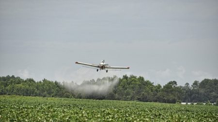 OGM et augmentation du taux d’herbicide dans le corps