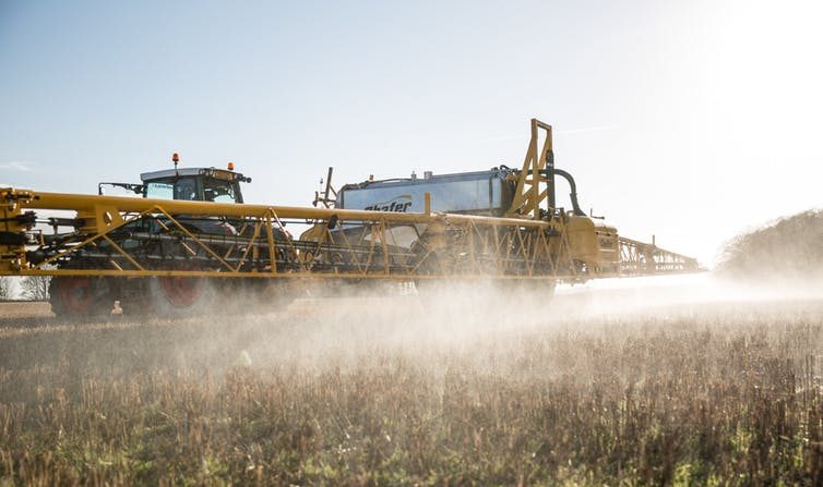 Traitement d’un champ au glyphosate au Royaume-Uni en 2014. (Chafer Machinery/Flickr/CC BY)