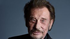 Paris : une statue en hommage à Johnny Hallyday gêne une maire écologiste, car elle inclut une moto