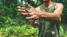 La biodiversité des sols nous protège, protégeons-la aussi !