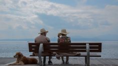 Comment bien vieillir et se prémunir contre Alzheimer