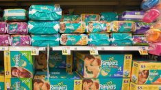 Vienne : une famille découvre des vers dans des couches Pampers neuves