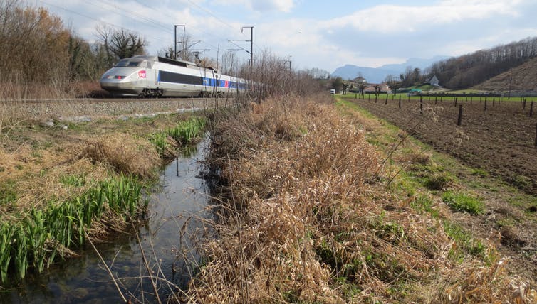 Comment restaurer un cours d’eau dégradé tout en protégeant la ligne de chemin de fer des inondations ? (Irstea)