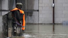 PARIS – Un gilet de sauvetage sur le zouave du Pont de l’Alma – [VIDÉO]