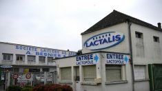 MAYENNE – les conditions d’hygiène déplorables d’une usine de Lactalis, d’après une intérimaire