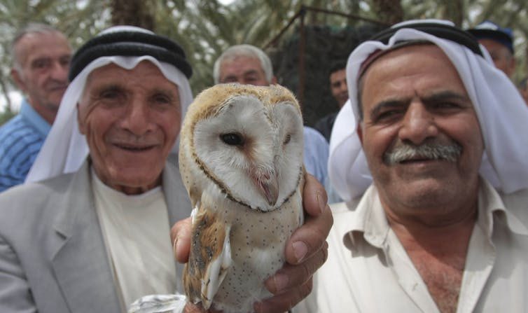 Paysans et bénéficiaires arabes du projet « Les chouettes ne connaissent pas de frontières ». (Alexandre Roulin, Author provided)