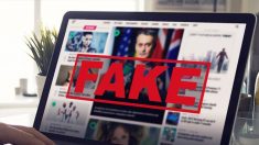 Face aux fake news, réaffirmer le rôle de formation et de recherche des universités