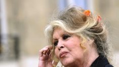 « Ah non! Je suis allergique  à tous les produits chimiques » : Brigitte Bardot ne veut pas être vaccinée contre le Covid-19