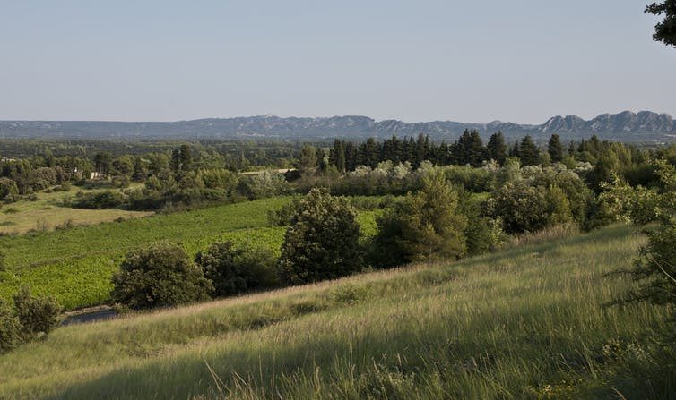 La haie « fait assez consensus » et permet de « mettre chasseurs, associations de protection de l'environnement, collectivités, agriculteurs autour de la table », rapporte le cabinet de Marc Fesneau. (INRA DIST/Flickr, CC BY)