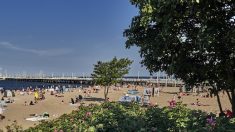 La riviera polonaise dans la baie de Gdansk