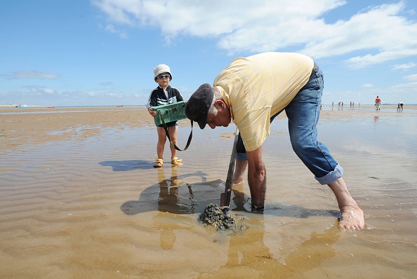 Ile d'Oléron en Charentes maritimes.  (Photo : XAVIER LEOTY/AFP/Getty Images)