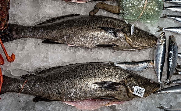 Deux poissonsTotoabas.      (Photo : OMAR TORRES/AFP/Getty Images)