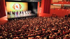 Un musicien à propos des artistes de Shen Yun : « Un travail merveilleux, au millimètre près! »