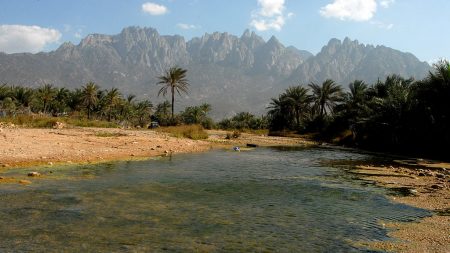 Le cyclone Mekunu touche l’île yéménite de Socotra: 17 disparus